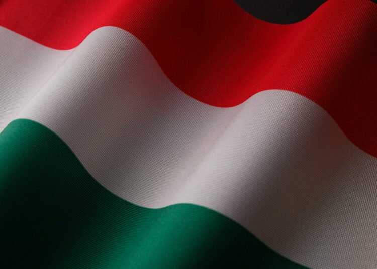 the flag of the hungary